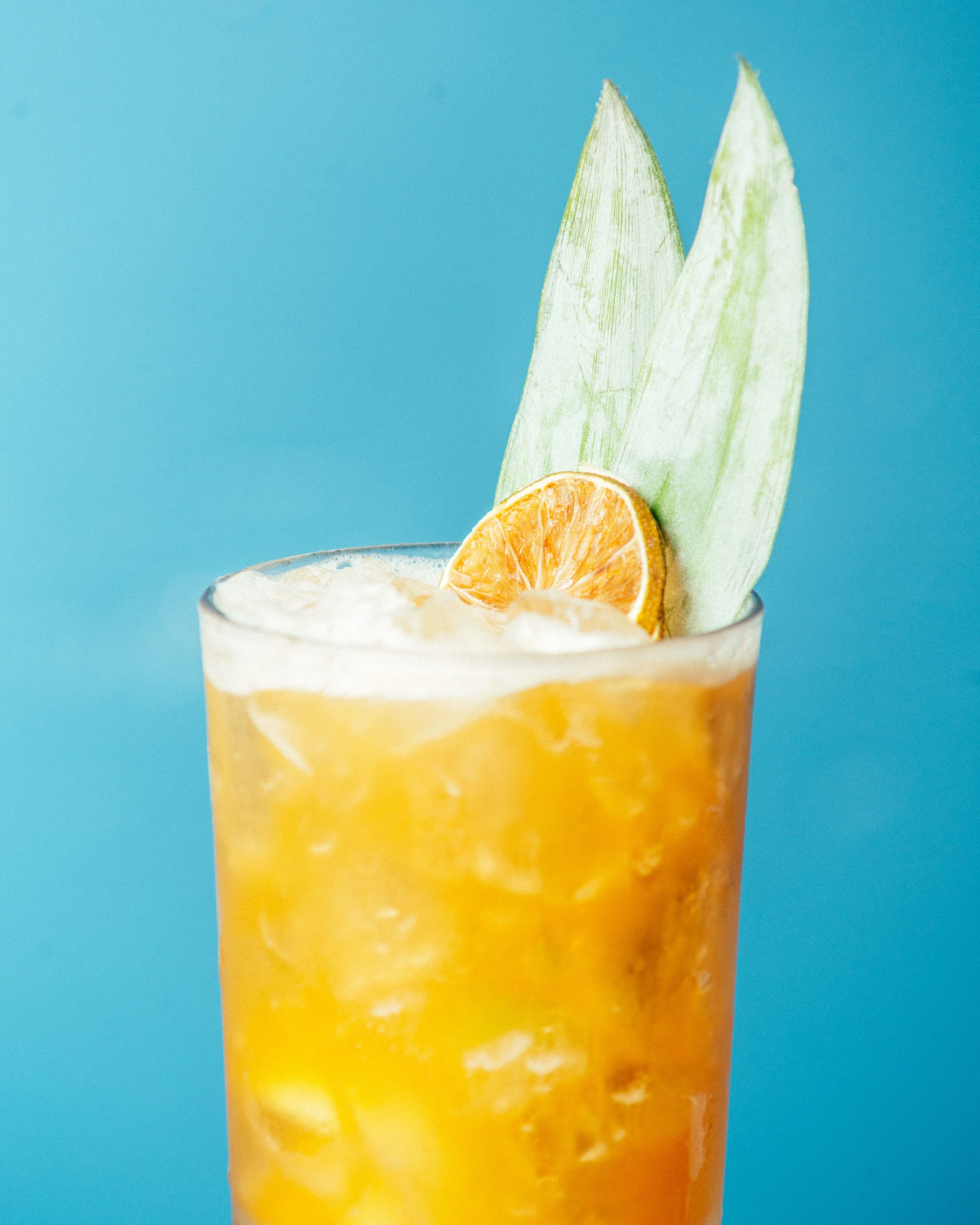 close up of cocktail with dehydrated orange and pineapple fronds (Copy)