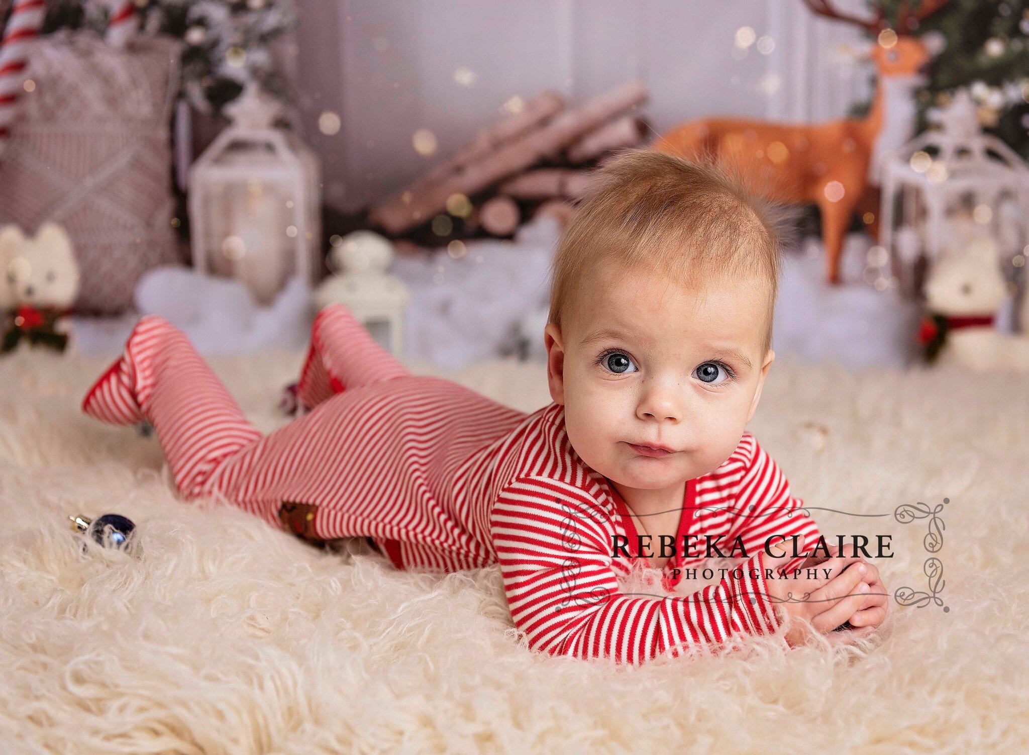 Oh master Ezra....you was so serious but so adorable! This little man came back for his sitter session and Christmas pictures....arg so adorable!