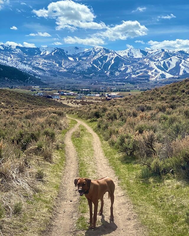 Little Moose and I on our hike today. Beautiful day in Park City.  #happyearthday