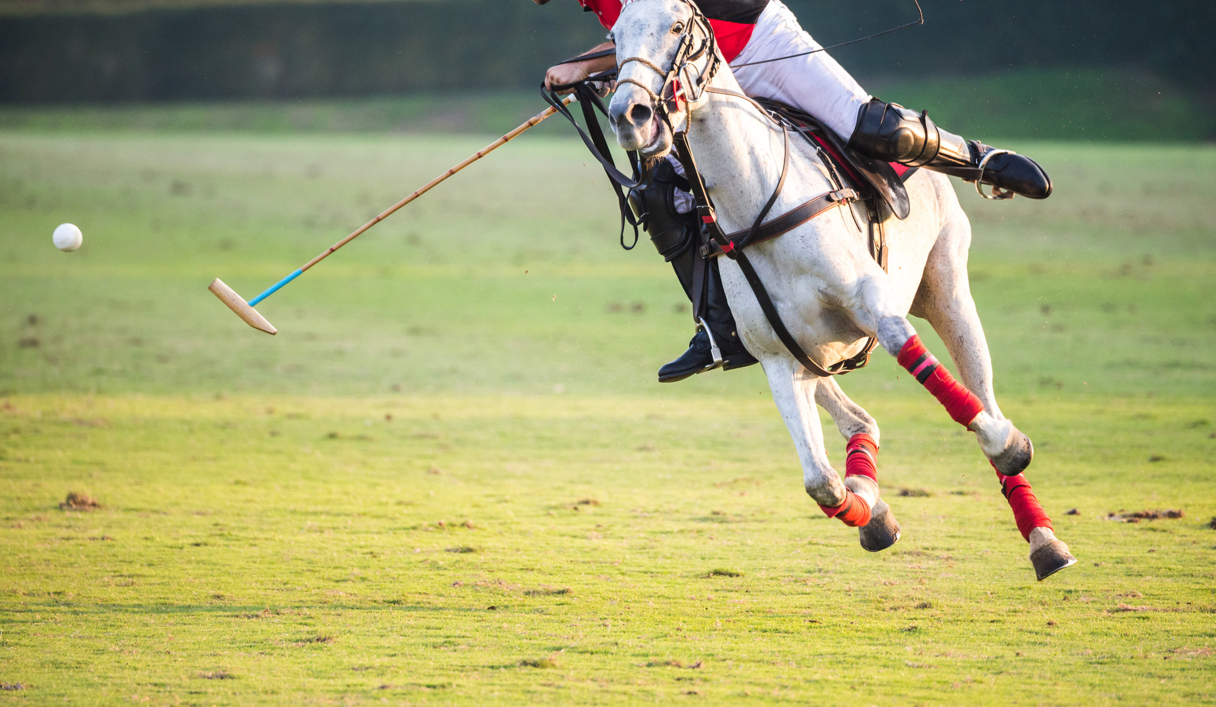 AdobeStock_150409449 (1).jpeg