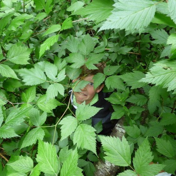 jr.+scout+camp.jpg