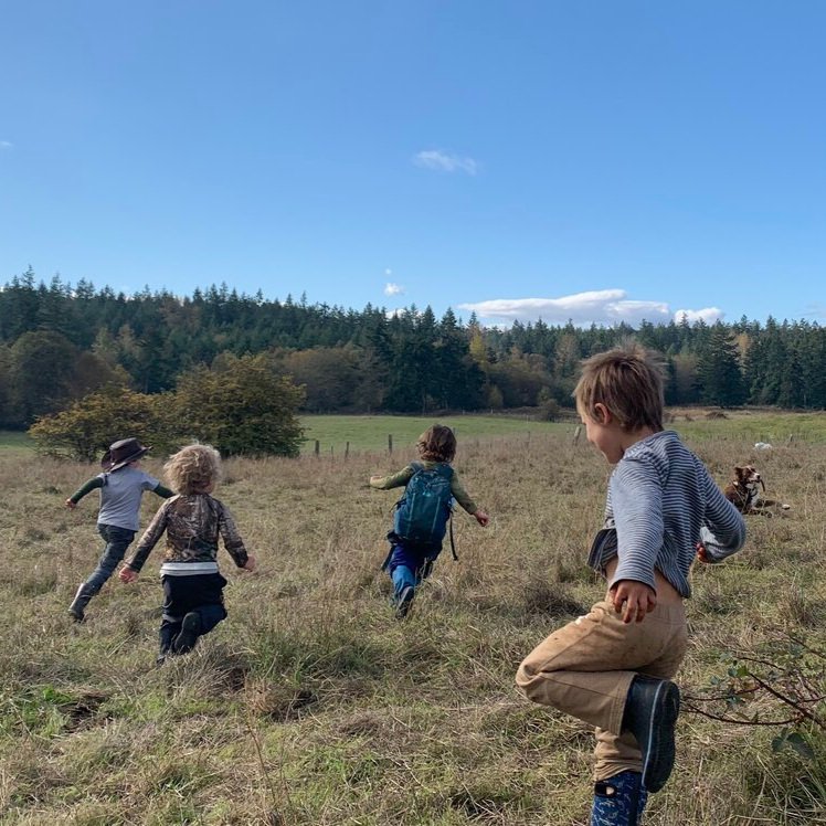 field+running.jpg