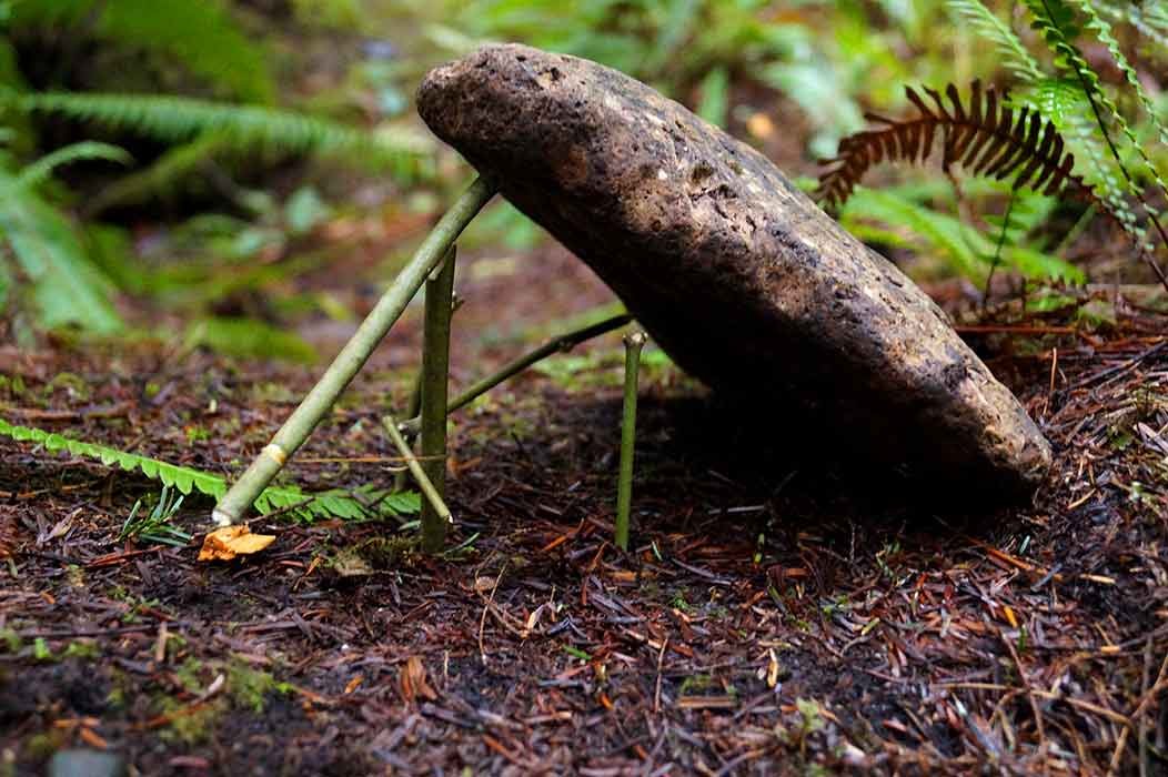 survival-trap.jpg