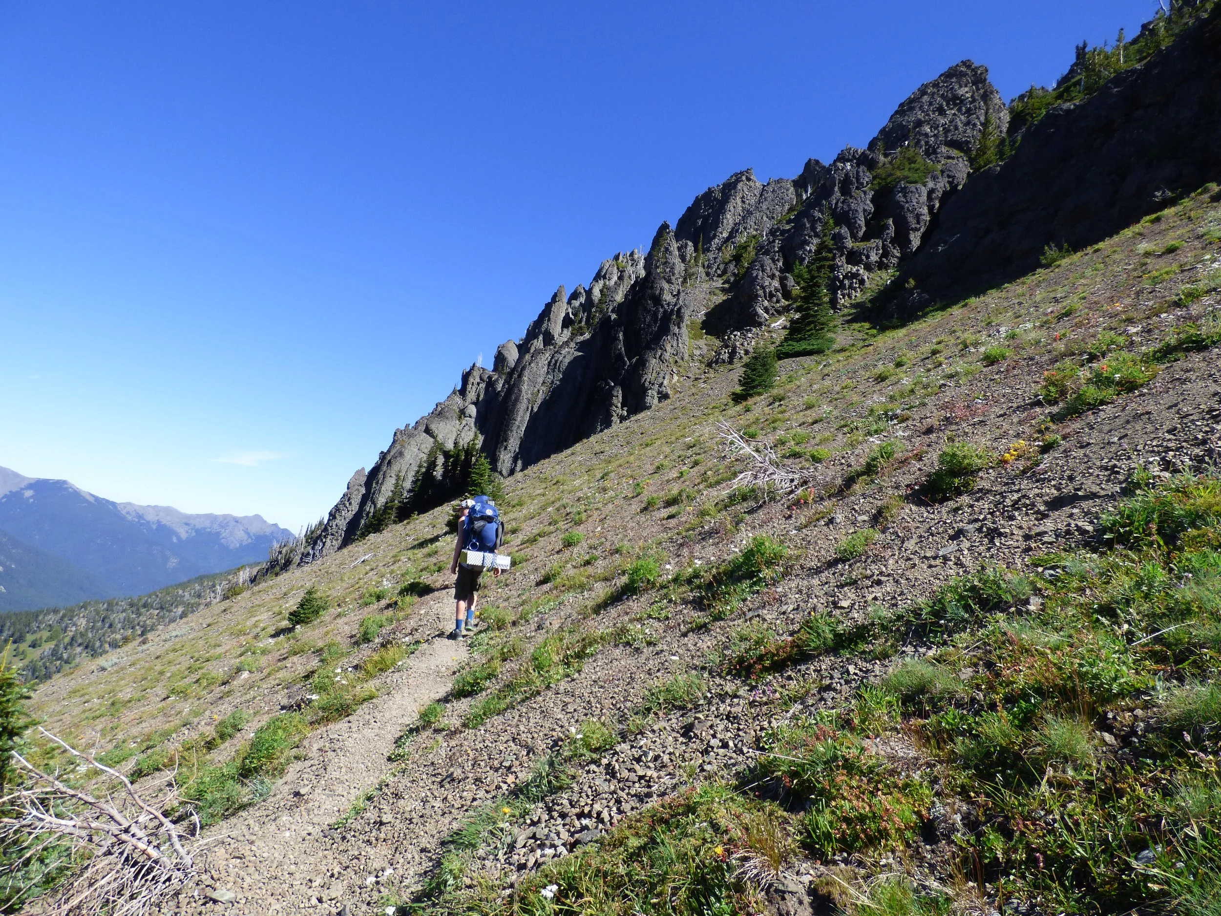 Copy of P1030509.JPG