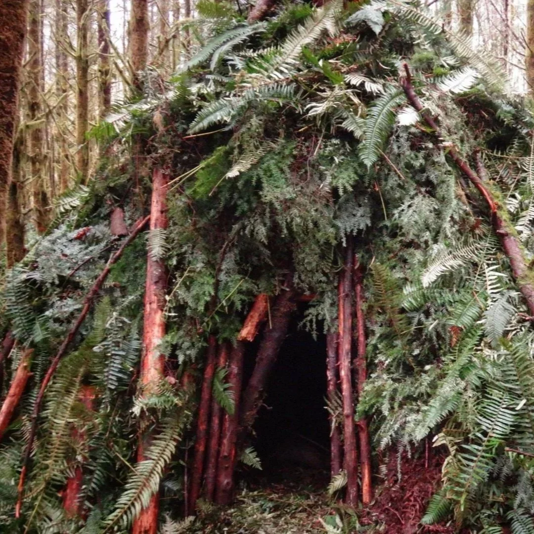 Wilderness Survival Skills Weekend Course — September 26 and 27, 2026