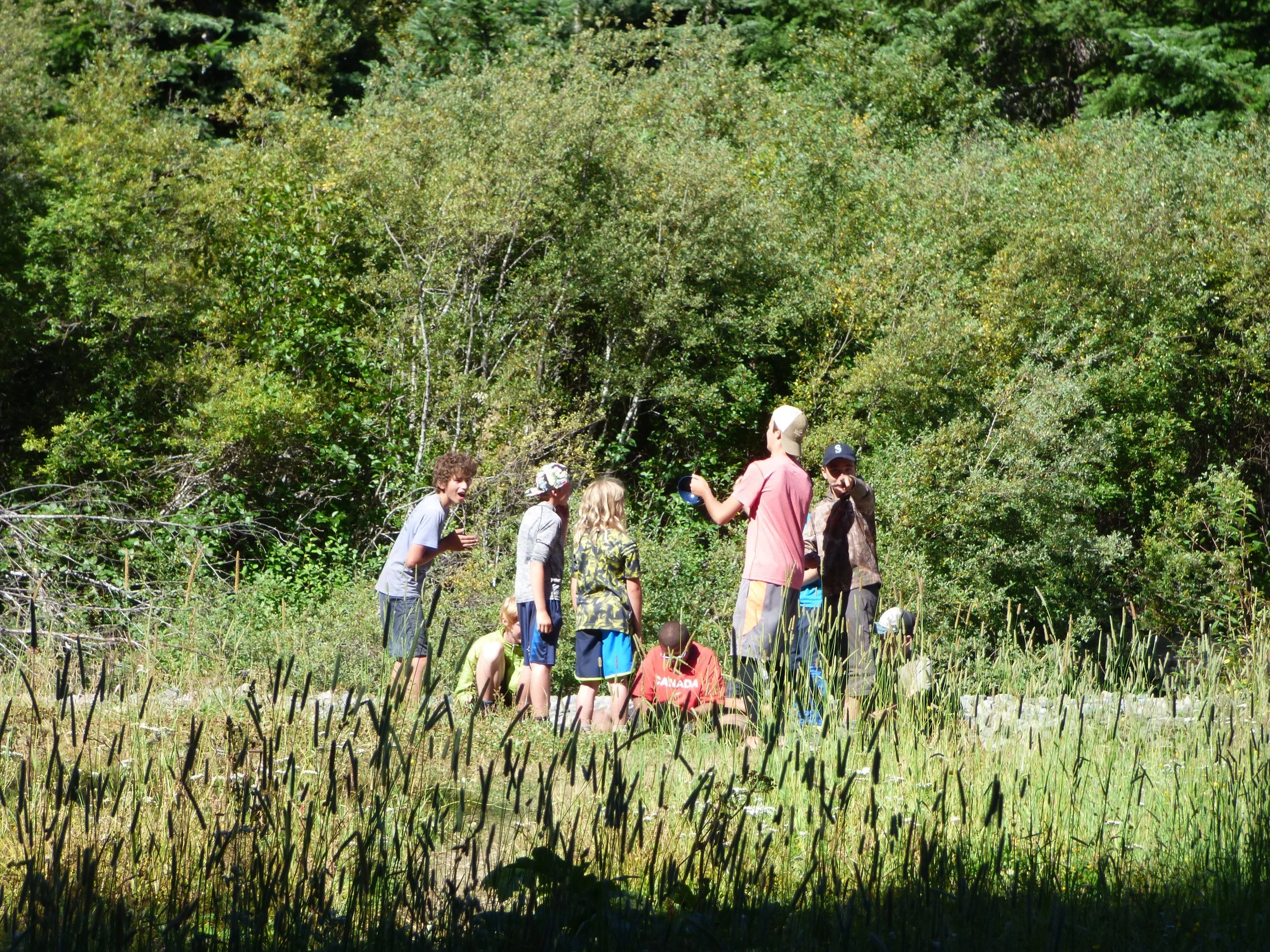 Copy of P1030793.JPG