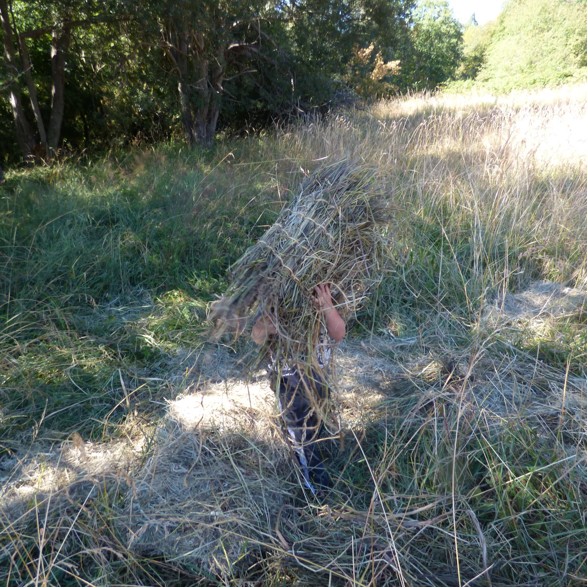 Sequim Scout Camp (Ages 8-14), July 13-17, 2026