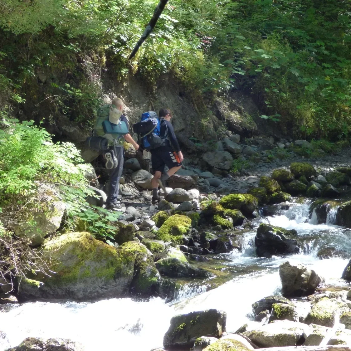 Wayfarer Teen Program (Ages 14-16)  Fall 2026