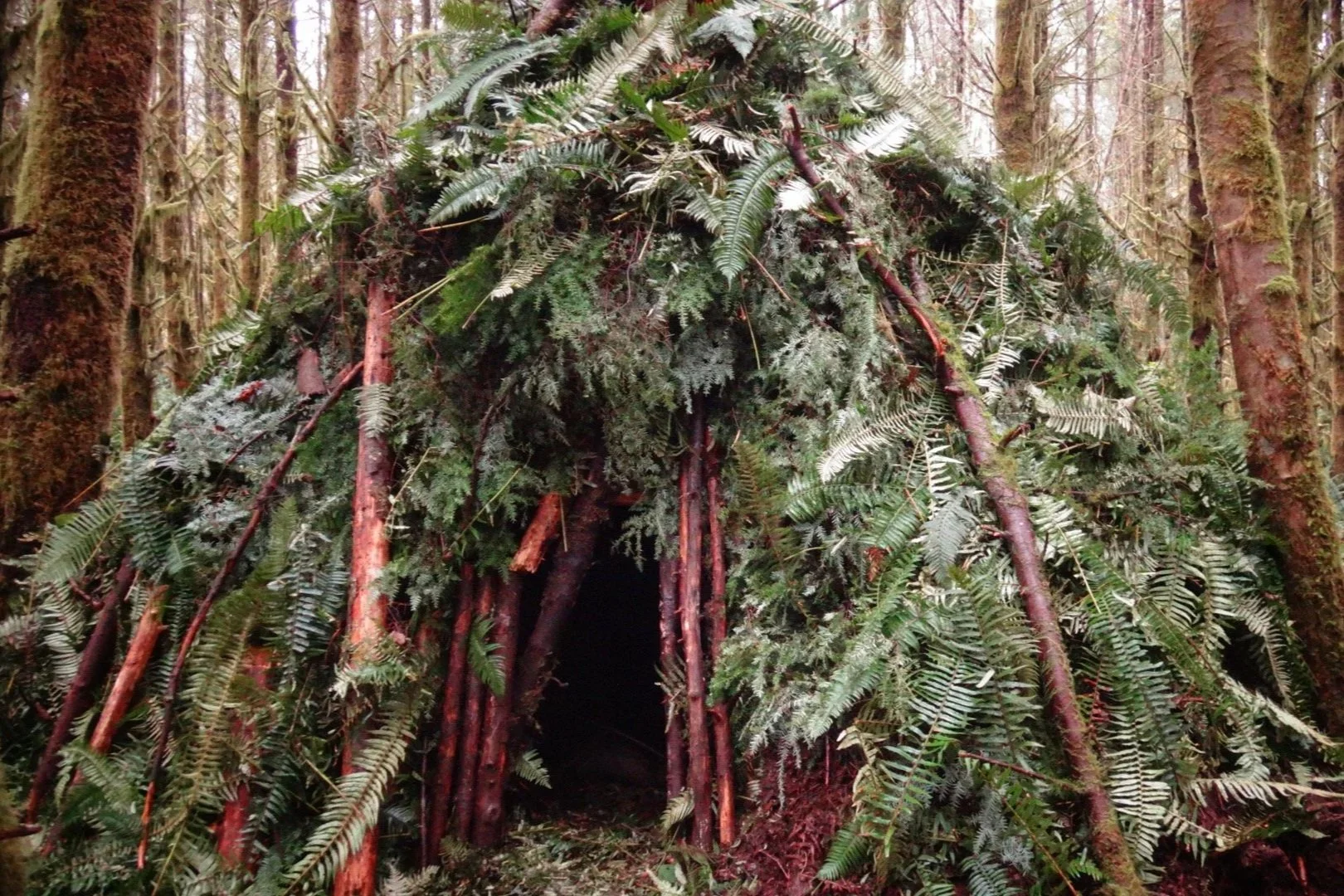 survival-shelter.jpg