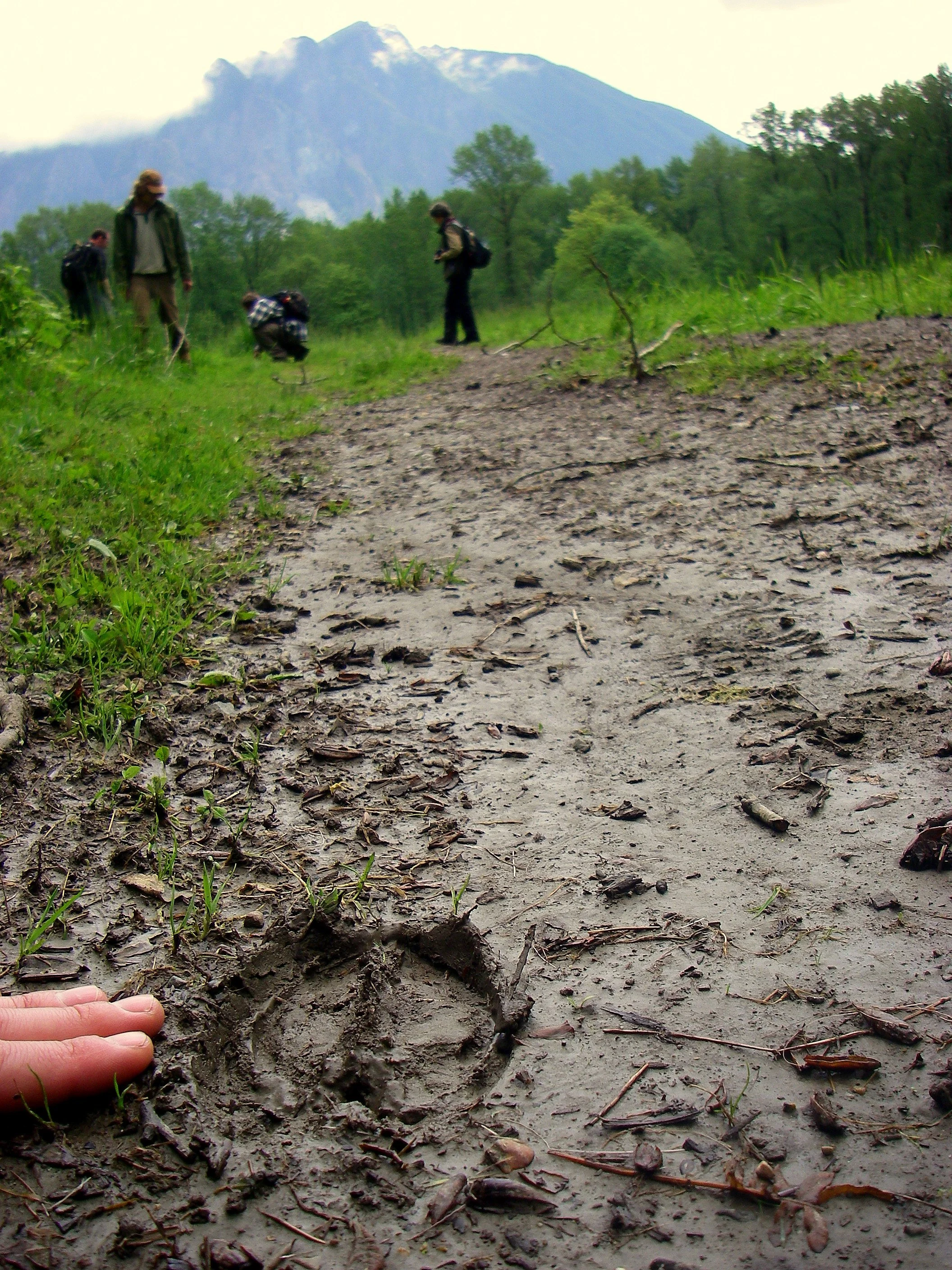 students-trail-elk-2.jpg
