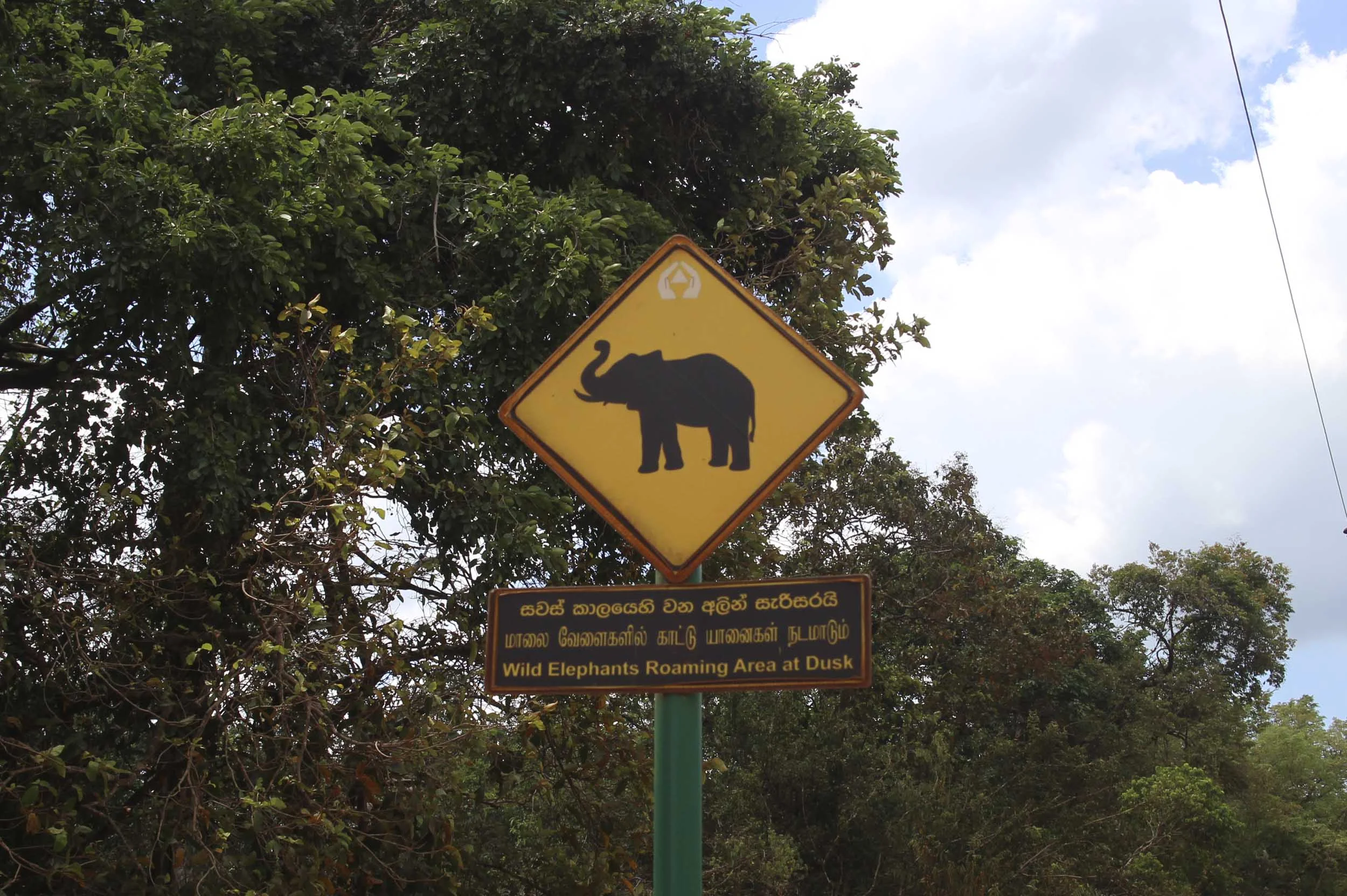 I figured if there were signs saying they were 'Wild Elephants' around, they must be around somewhere?