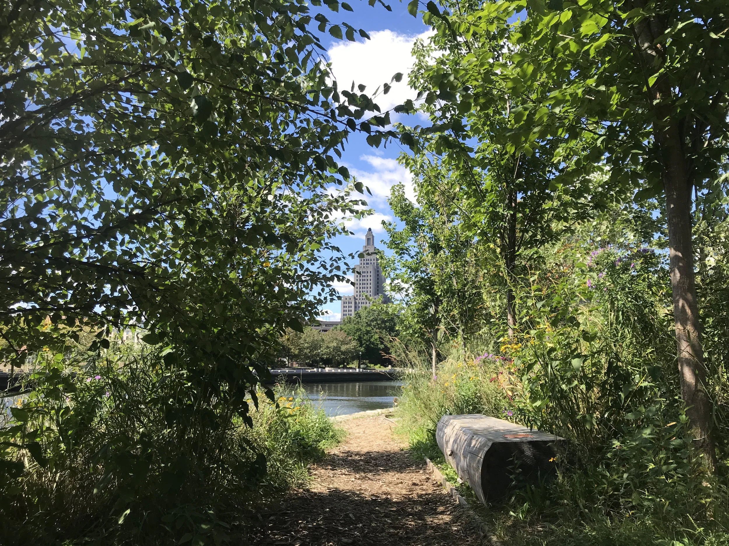 URBAN LANDSCAPE STRATEGIES_LIVING EDGE.JPG