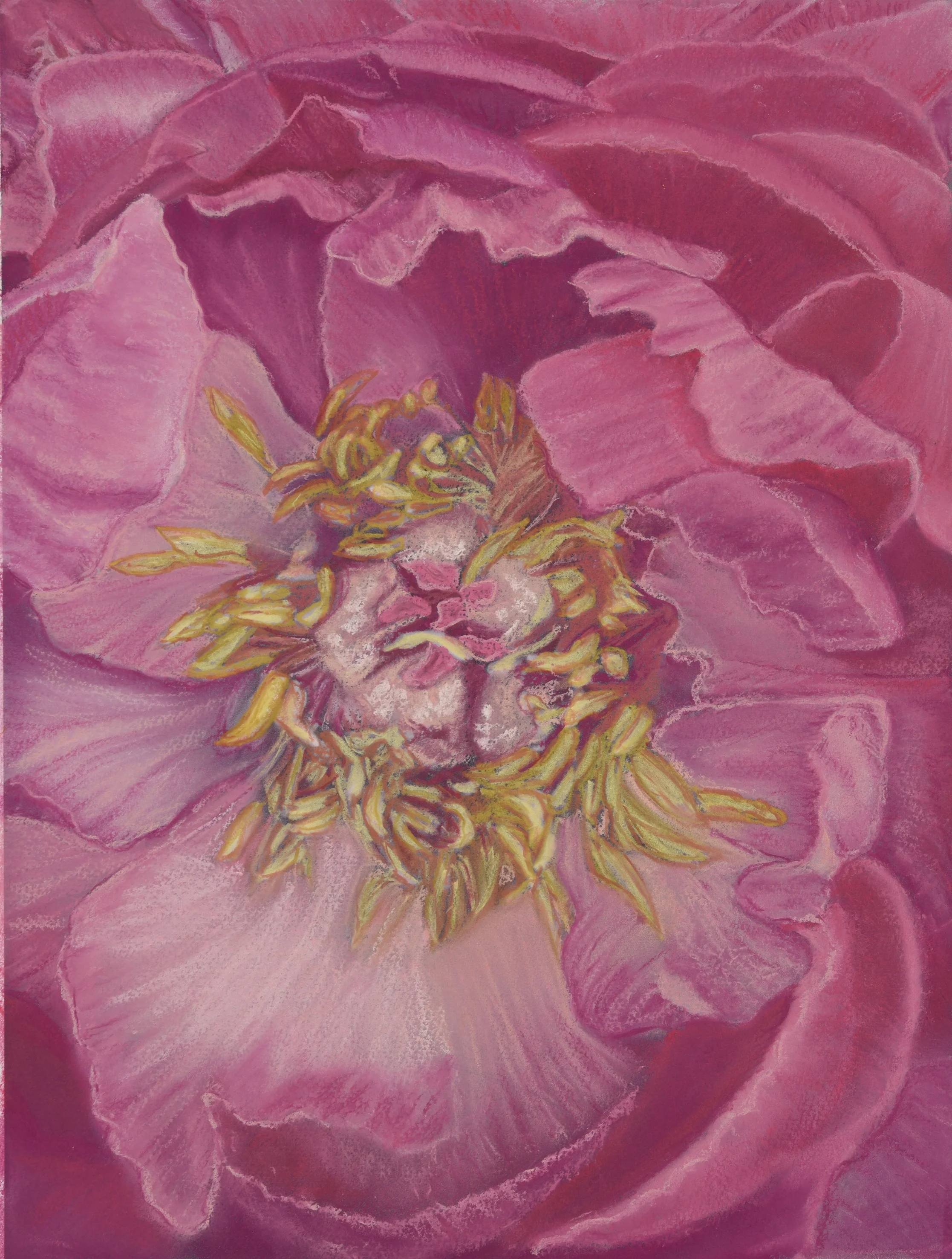Peony 300DPI Baboo.jpg