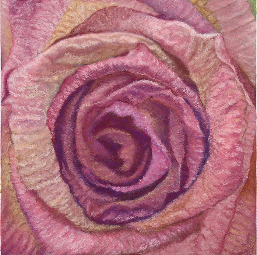 Rose1_300DPItif copy.jpg