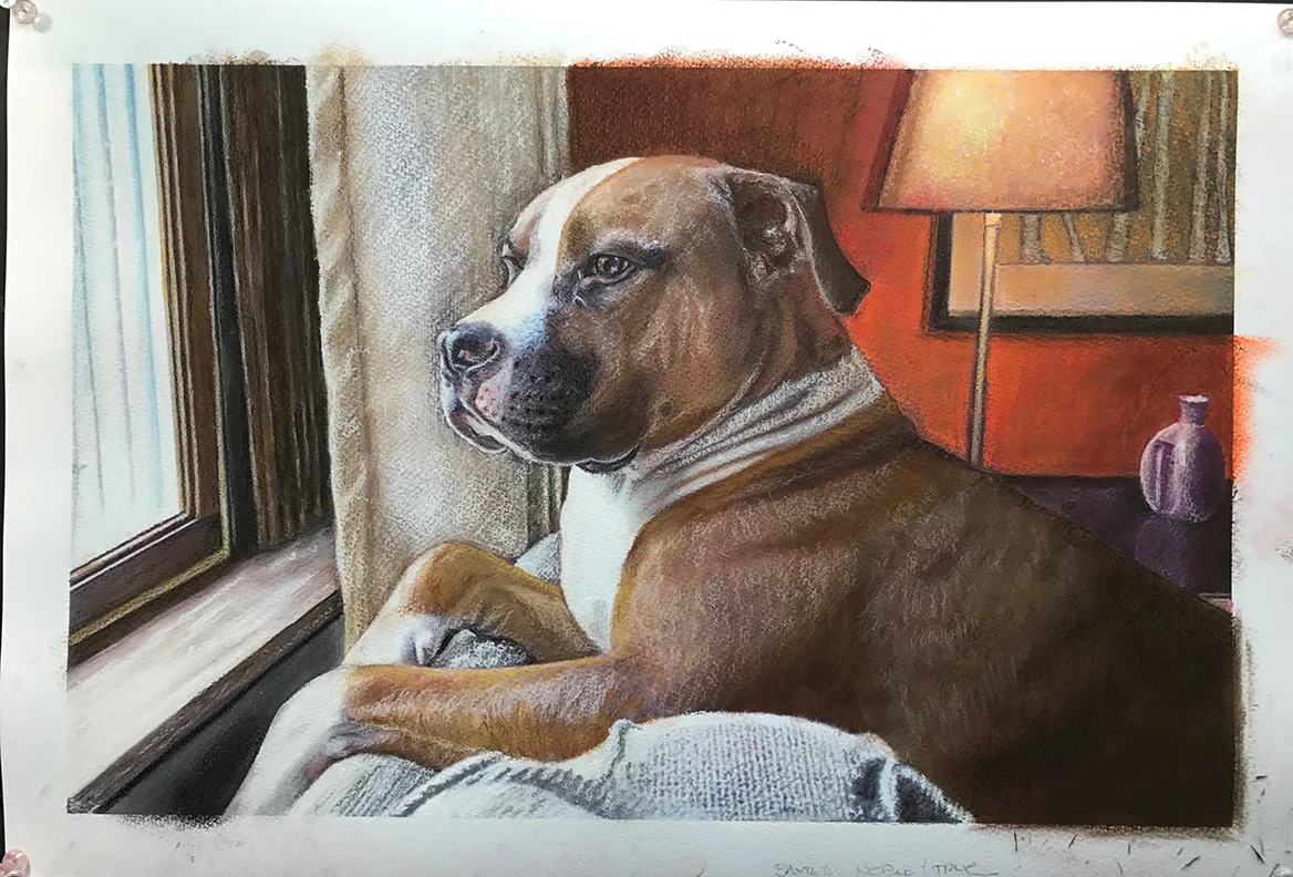 Baxter - Pastel on Paper - 13" x 19"