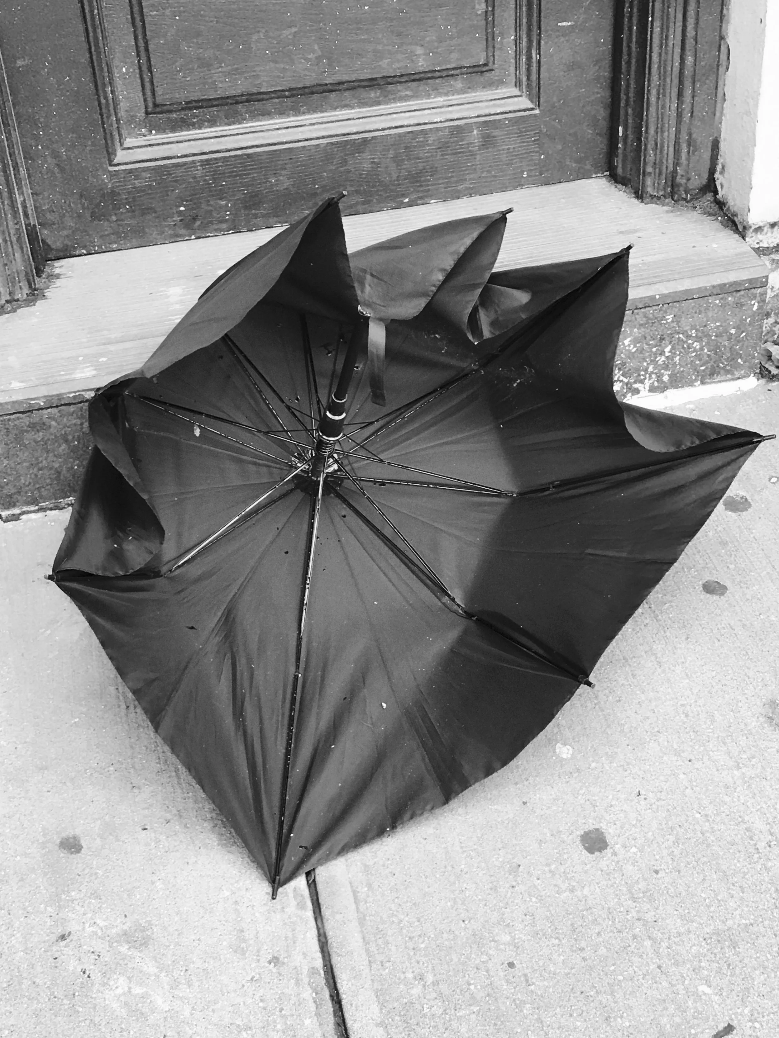 Umbrella - Black+White Photograph - 12" x 16"