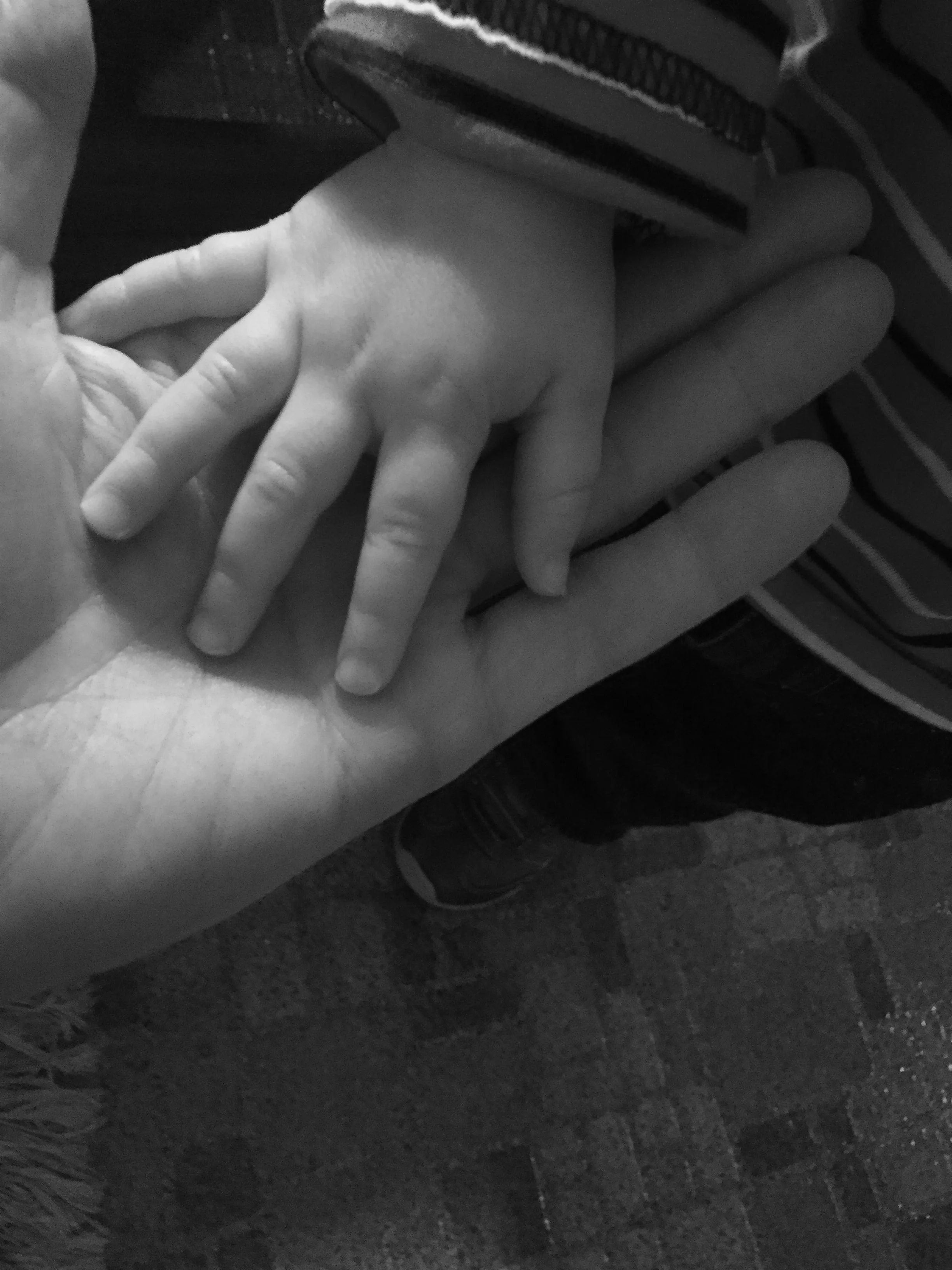 Hand in Hand - Black+White Photograph - 12" x 16"