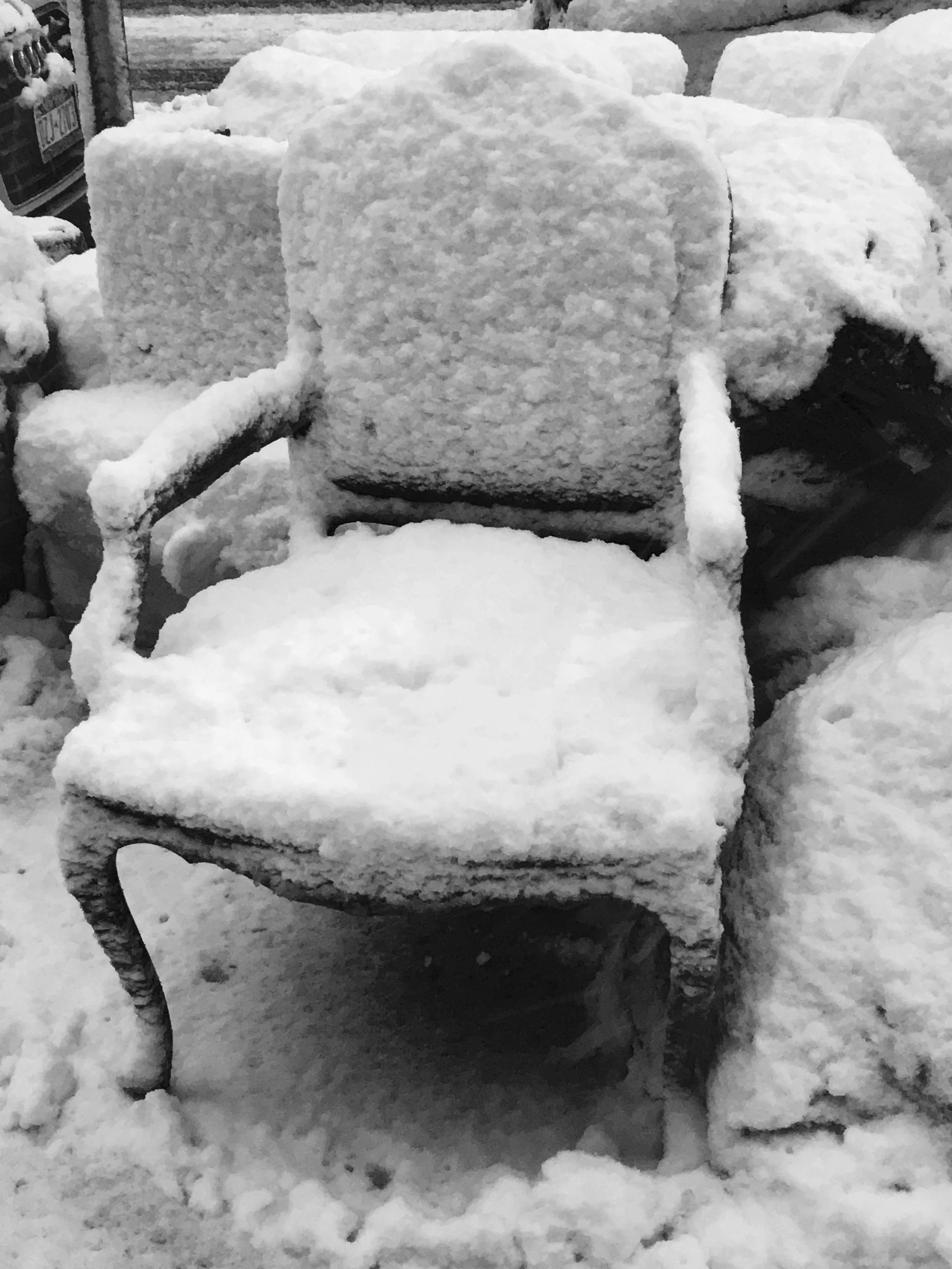 Frozen - Black+White Photograph - 12" x 16"