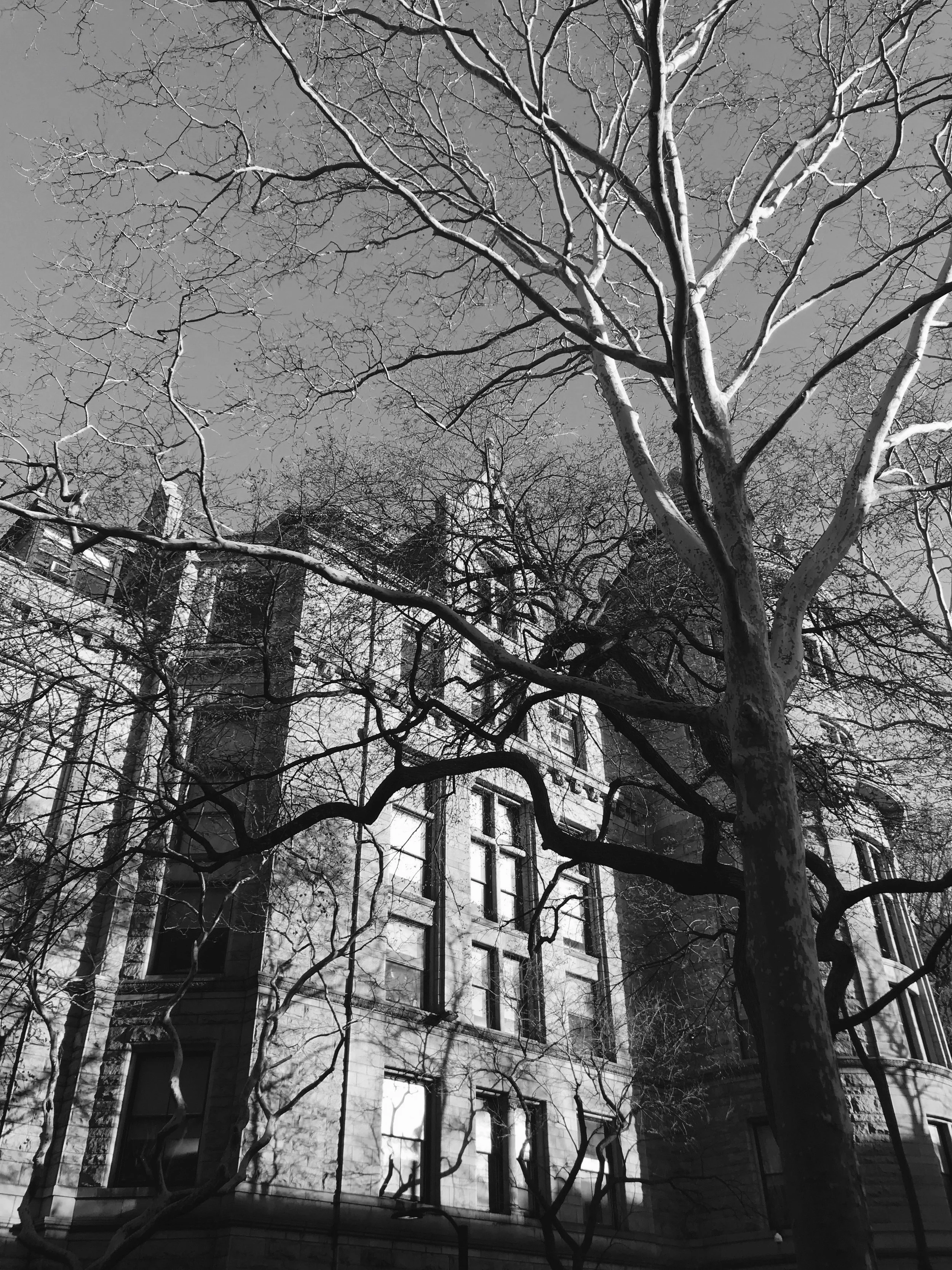 Architectural Study 2 - Black+White Photograph - 12" x 16"