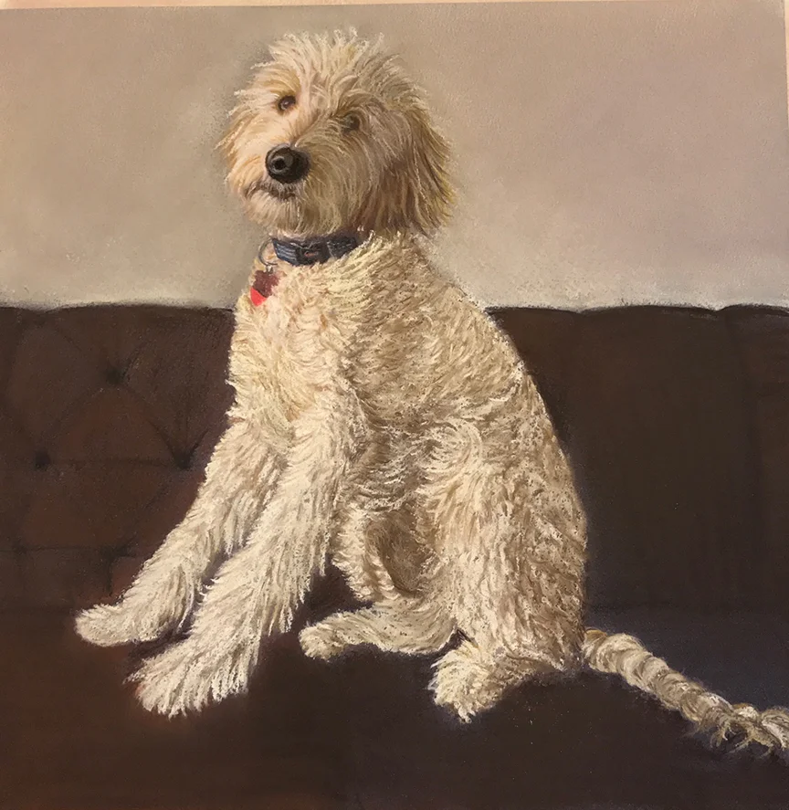 Adam's Dog - Pastel on Paper - 12" x 12"
