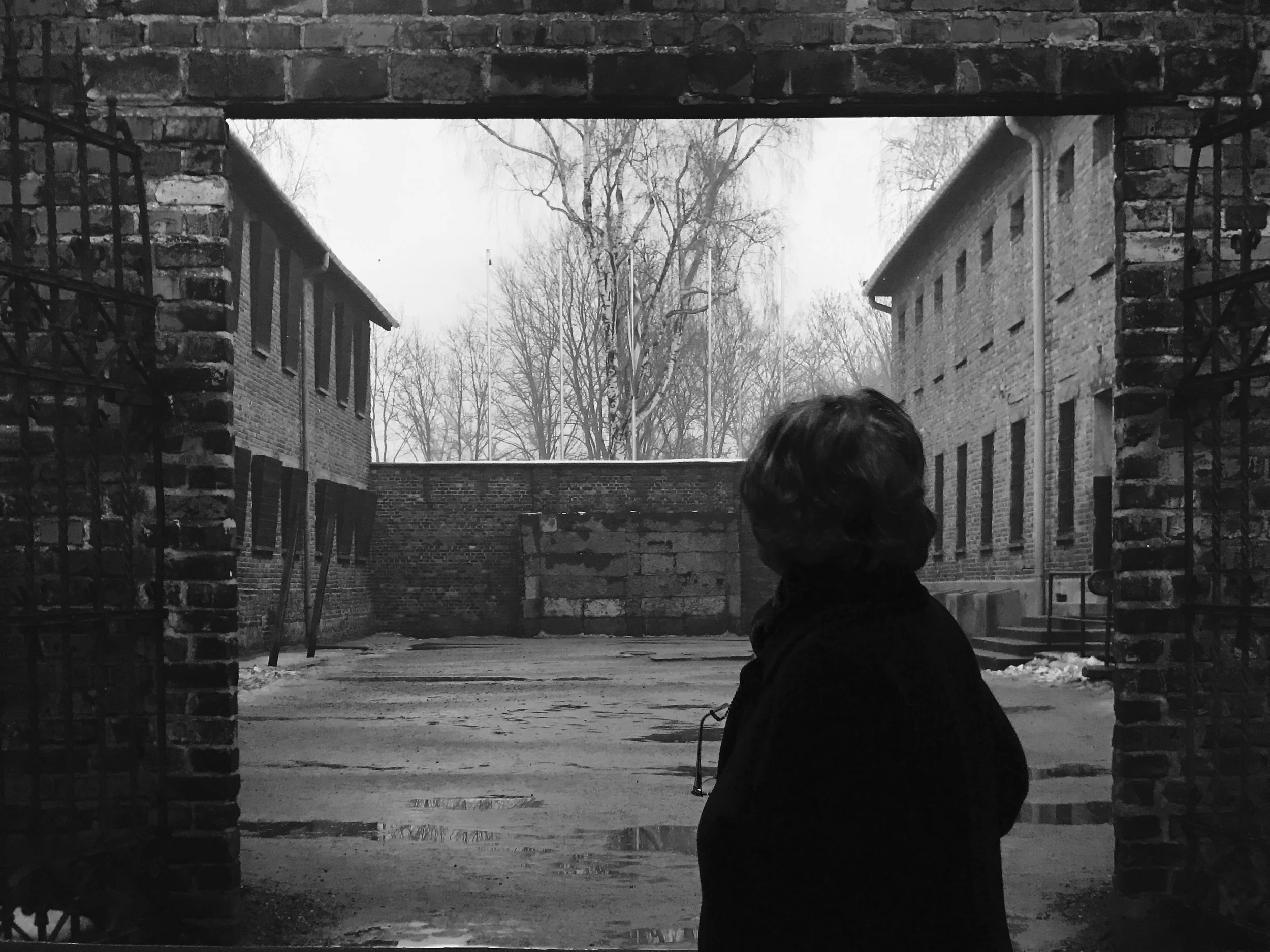 Looking At Art #2 - Black & White Photograph - 8" x 10"