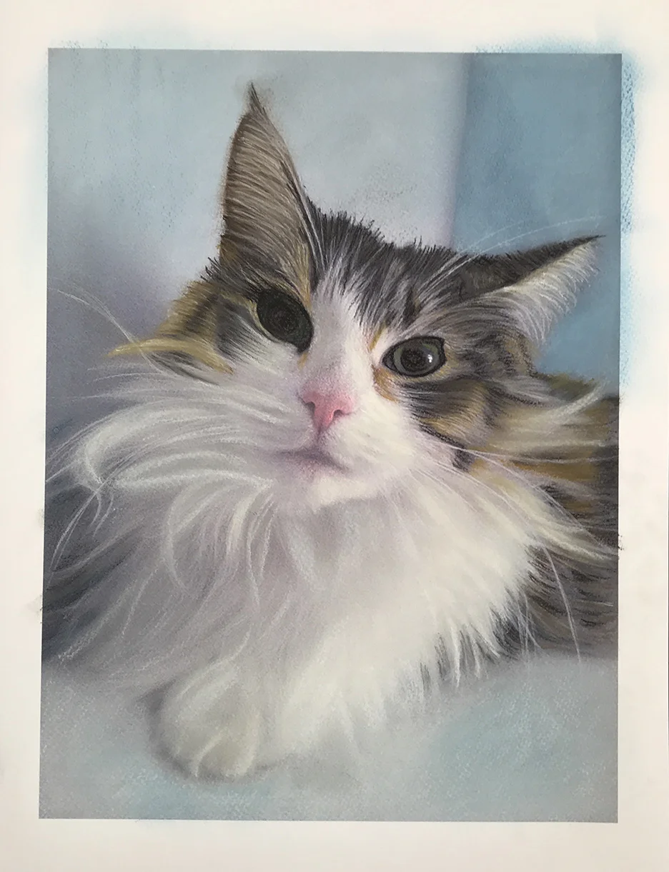 Miss Kitty - Pastel on Paper - 13" x 19"