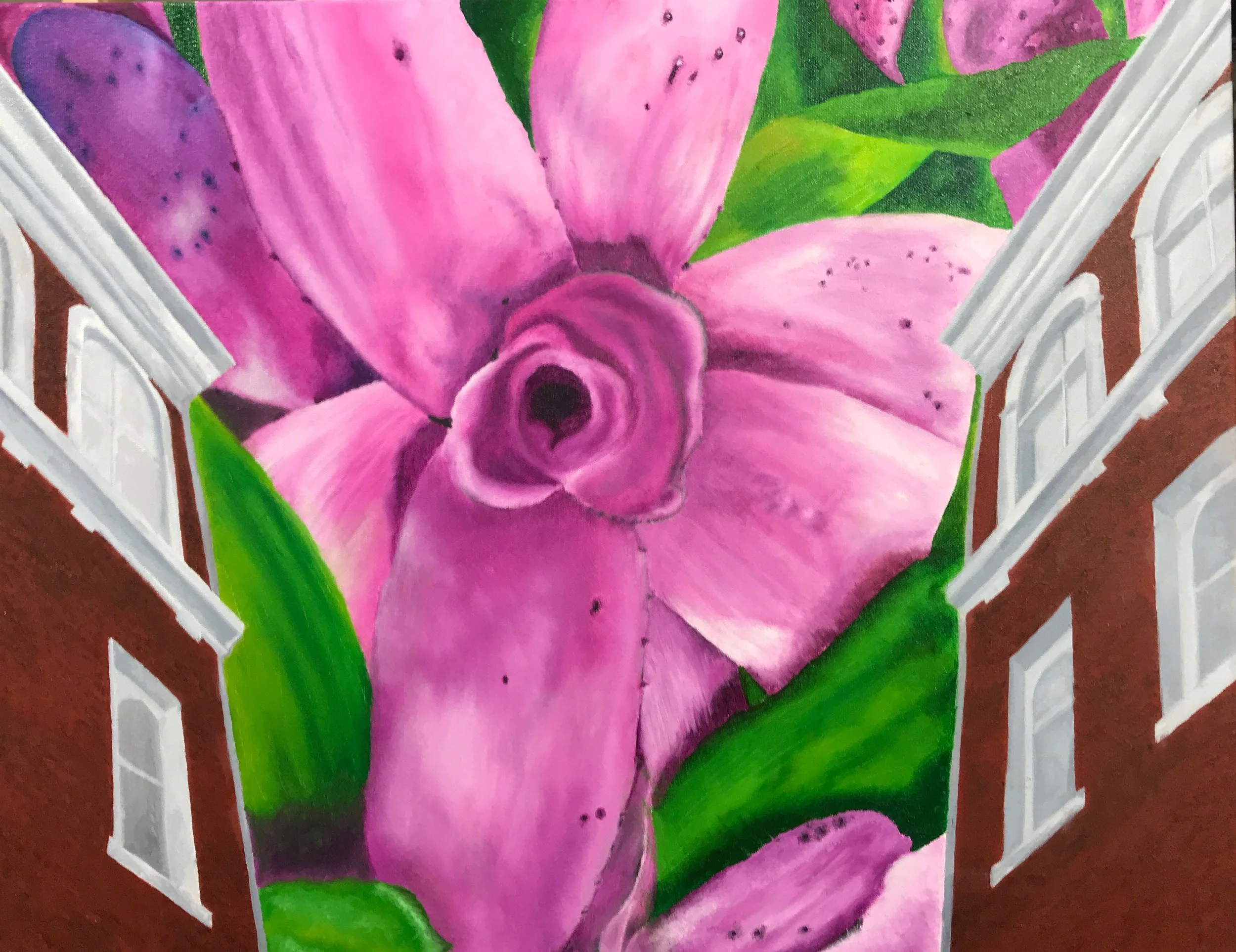 Bromeliad with the Knight of Pythias - Oil on Canvas - 22" x 28"