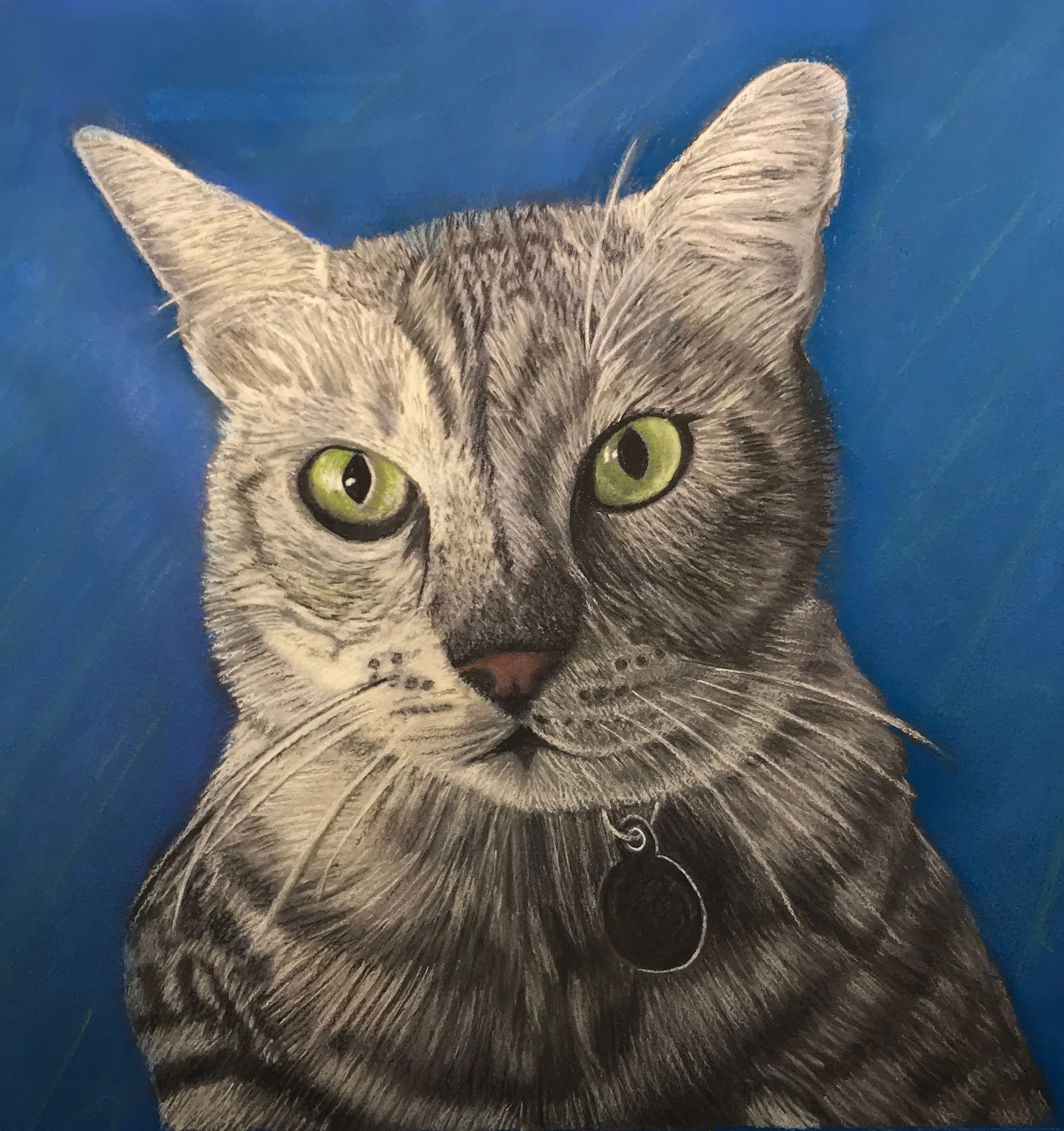 Ozzie the Cat - Pastel on Paper - 12" x12"