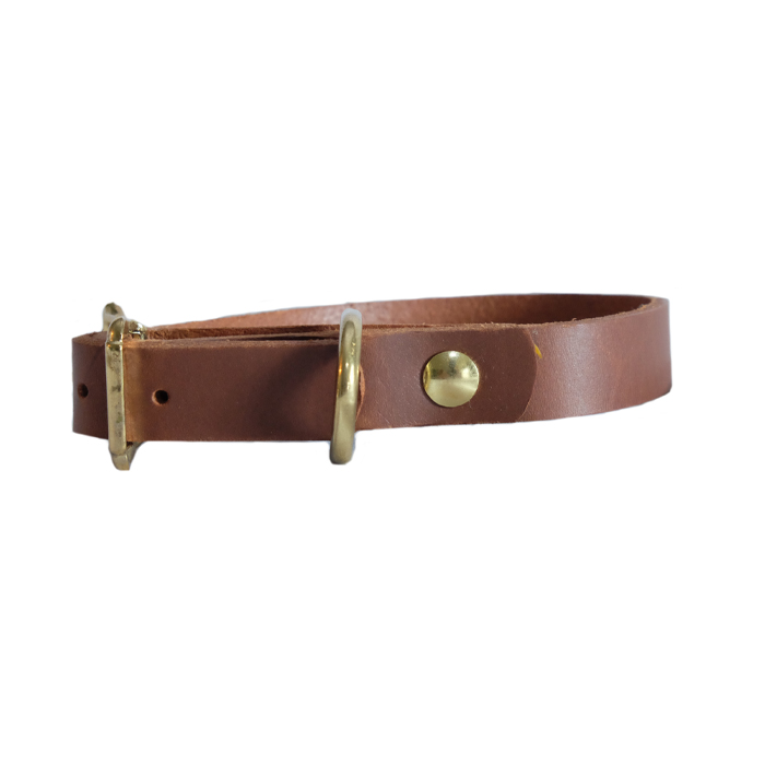 DogCollar.jpg