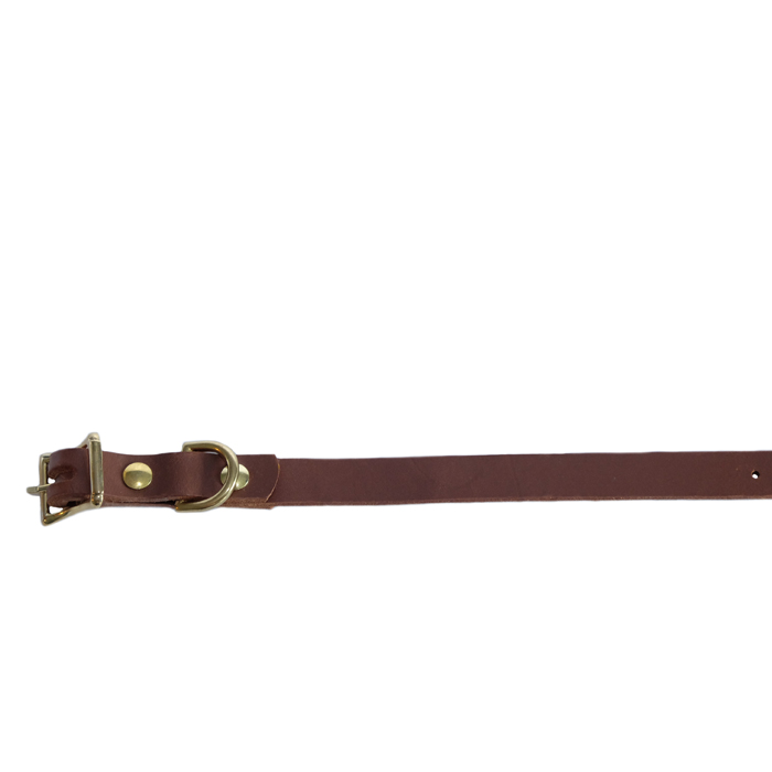 Belt1.jpg