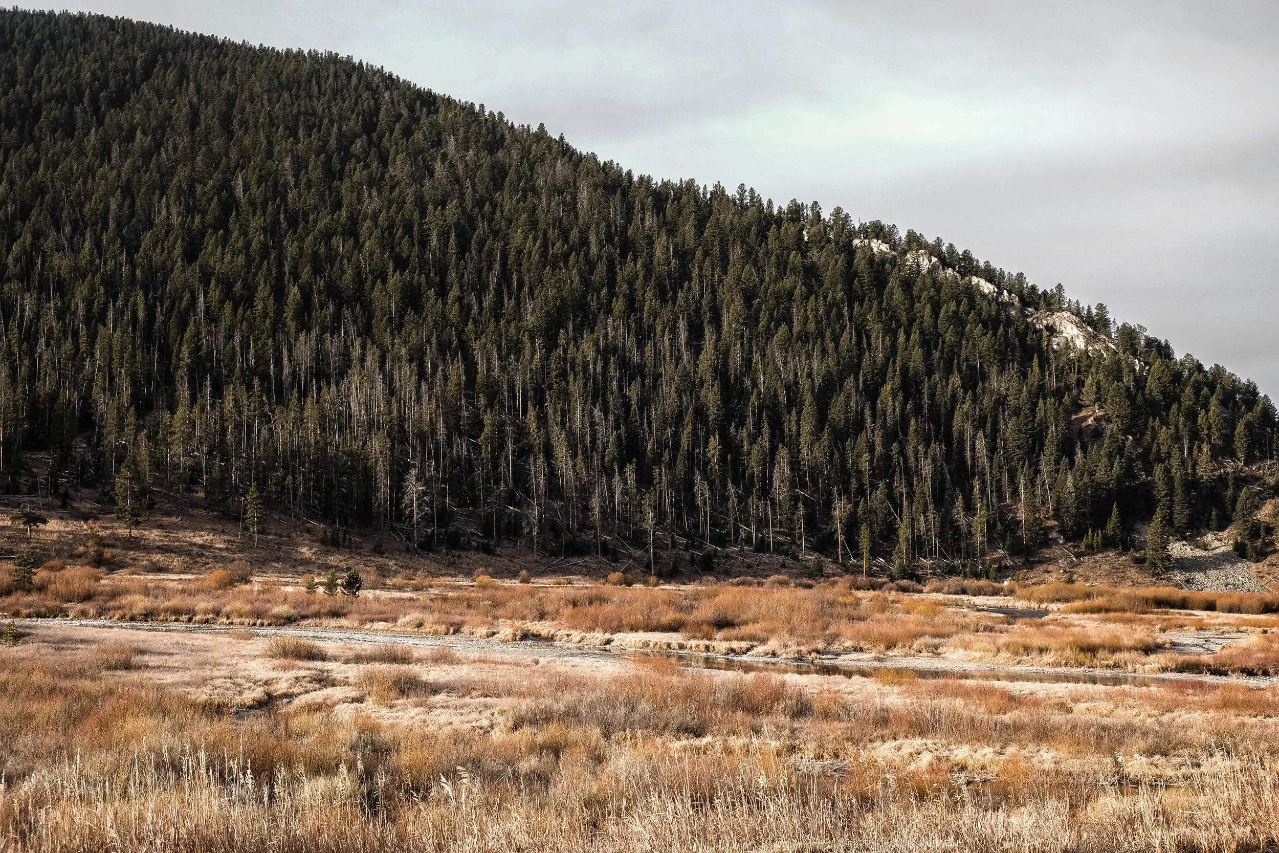 DSCF0377-Edit.jpg