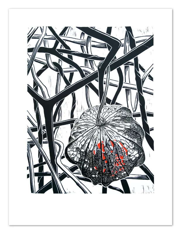 Chinese Lantern - White Background