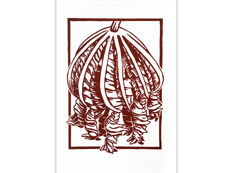 Cecropia linocut - NessyPress.com