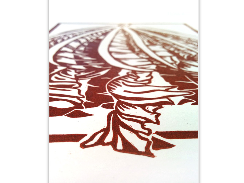 Cecropia linocut - NessyPress.com