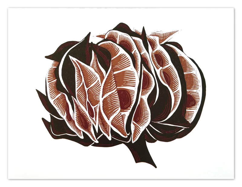 Bundleflower - 3-color