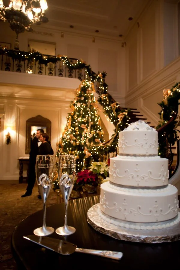 eb2e39614c662955a06505d7e7cac0a0--wedding-ideas-christmas-wedding-christmas.jpg