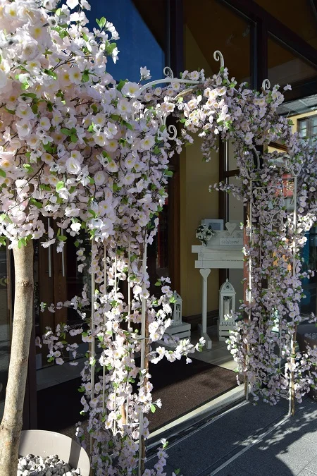 Entrance to Woodlands Suite at Silver Tassie Hotel letterkenny with complimentary decor.jpg