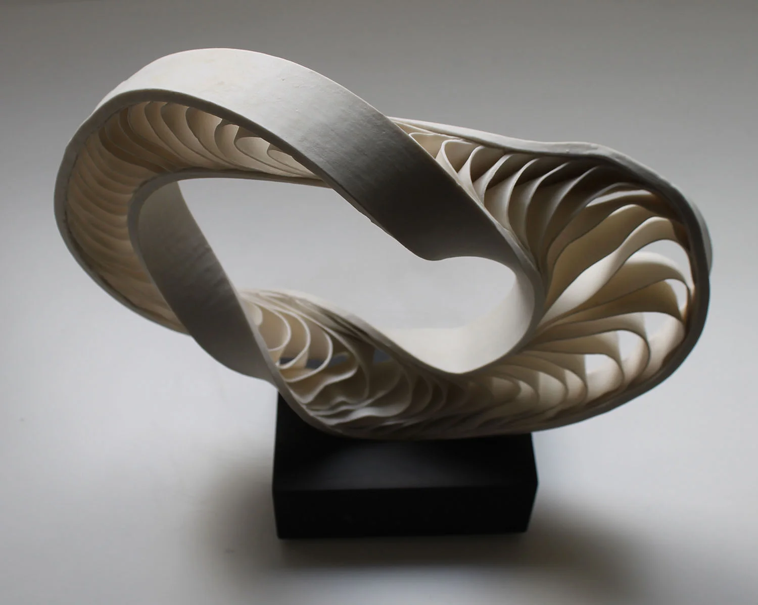 Mobius on African Ebony