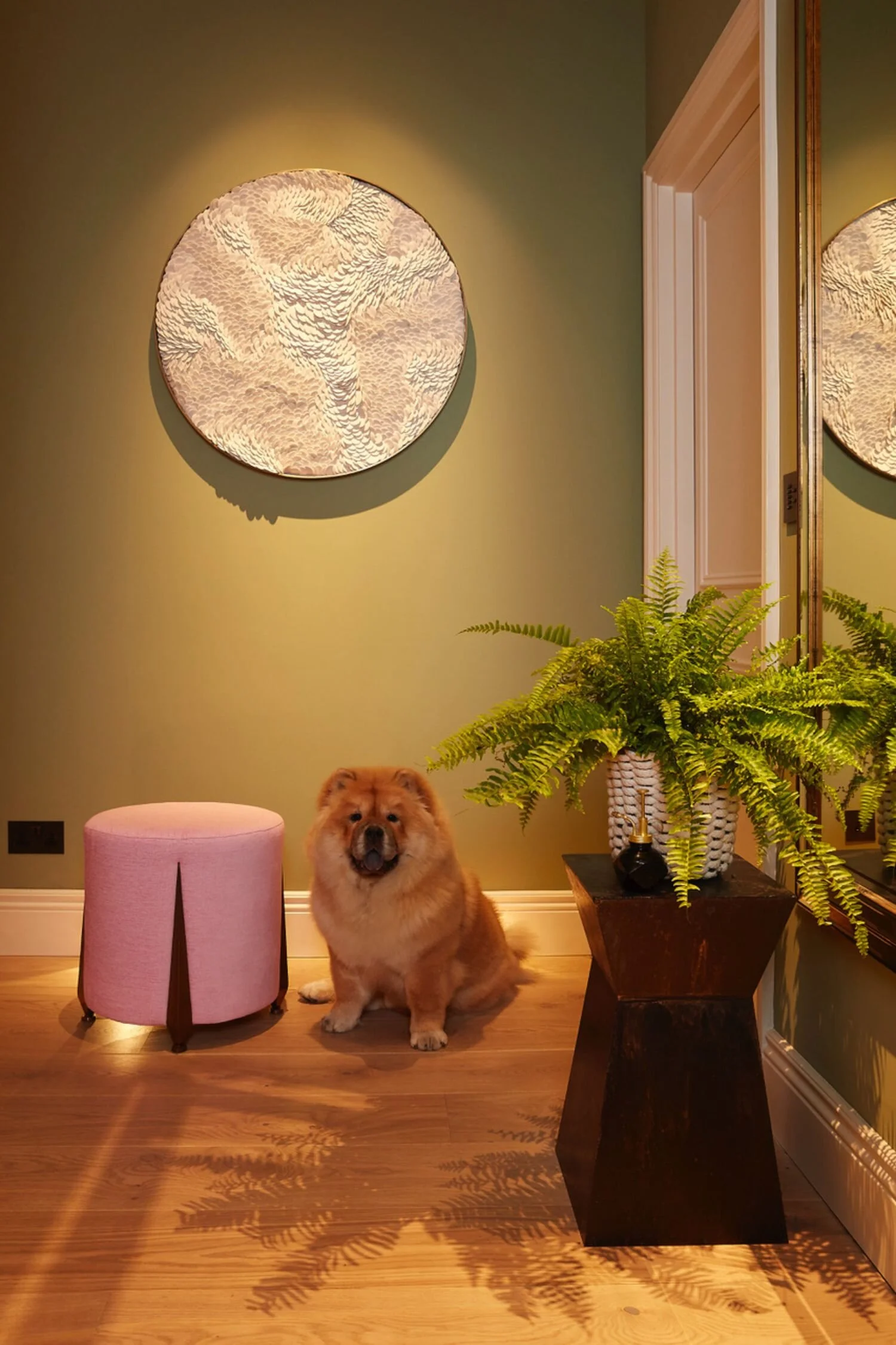 Hallway Flow with Chow Chow.jpeg