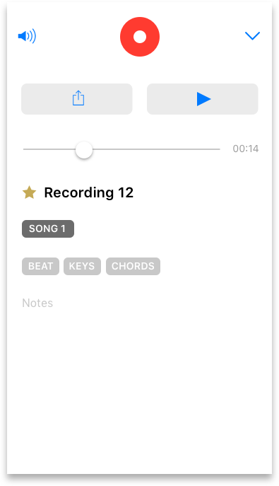 iPhone 7 - recording with tags n project v2 Copy 5.png
