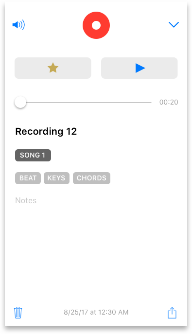 iPhone 7 - recording with tags n project v2 Copy.png
