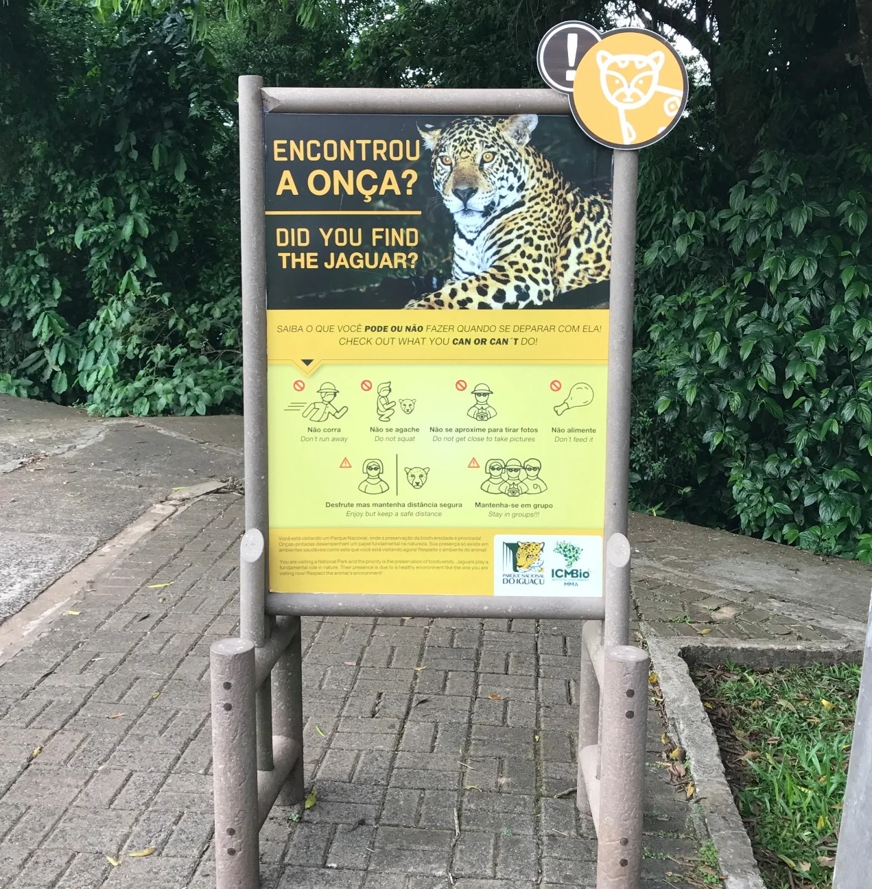 Jaguar warnings! 