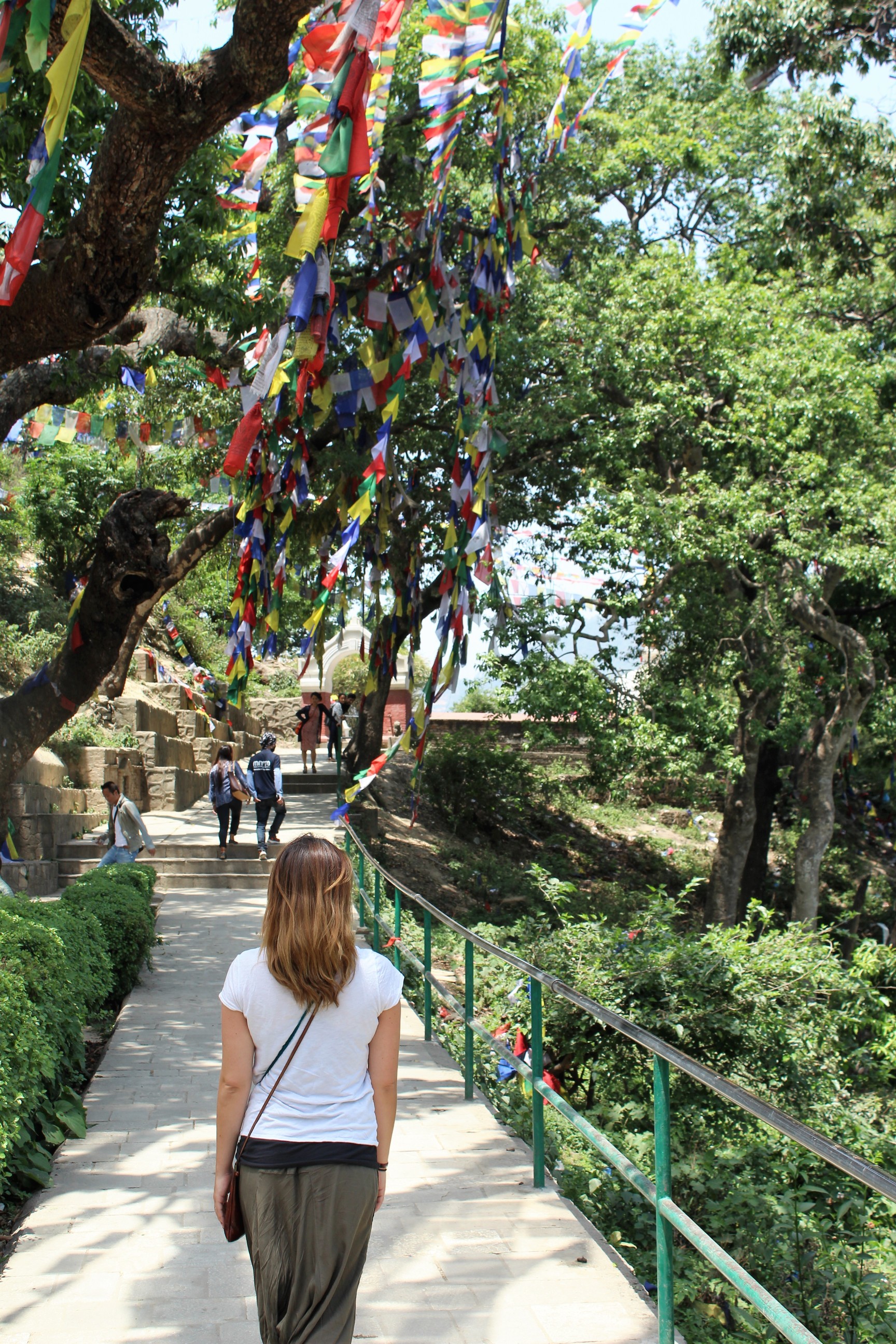 exploring the "monkey temple"