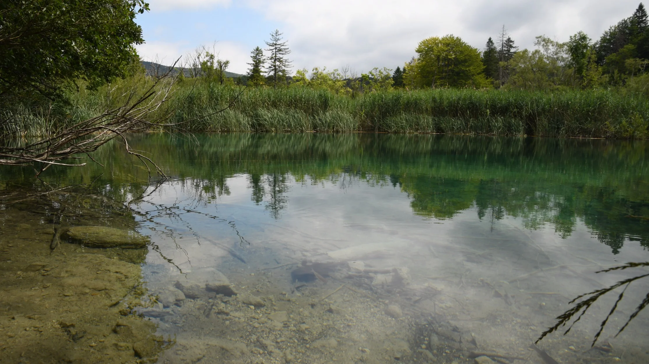 DSC_0302.jpg