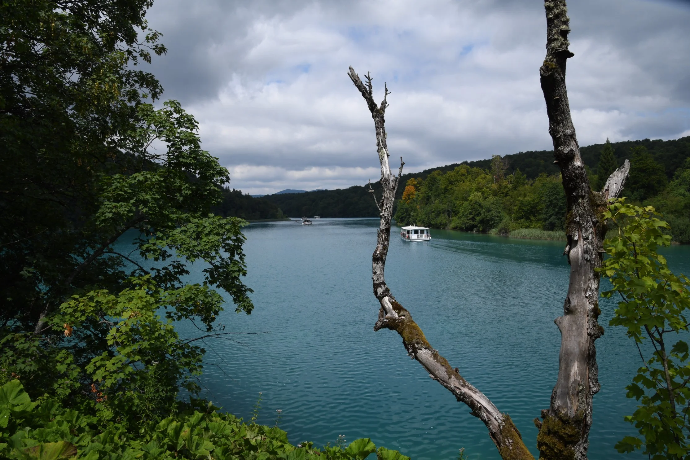 DSC_0312.jpg