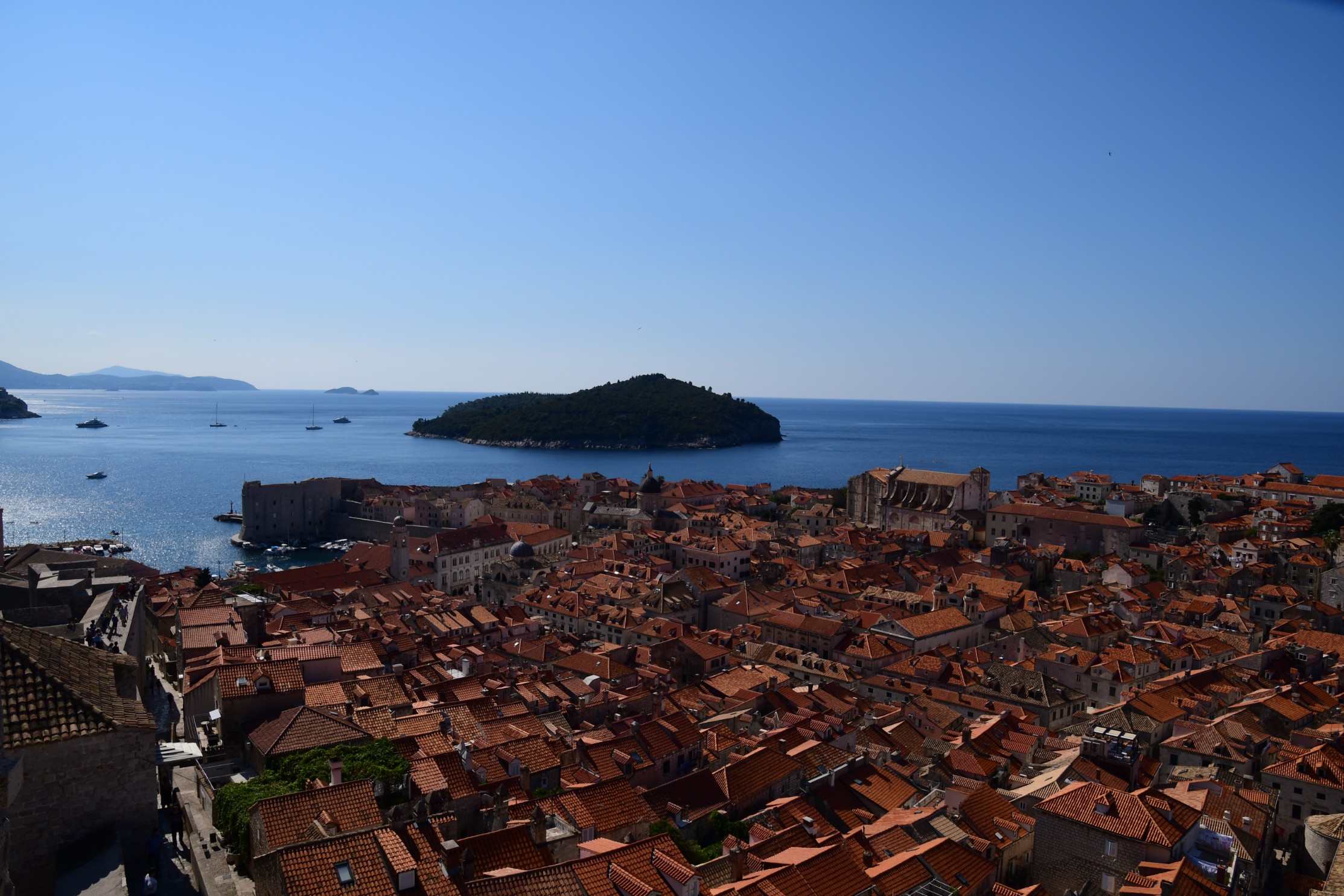 DSC_1064.jpg