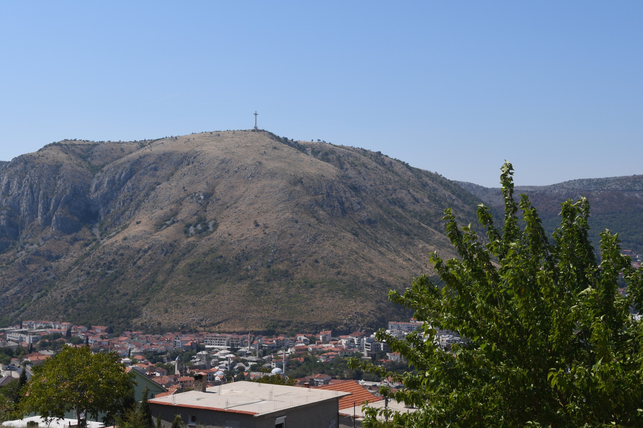 DSC_1174.jpg