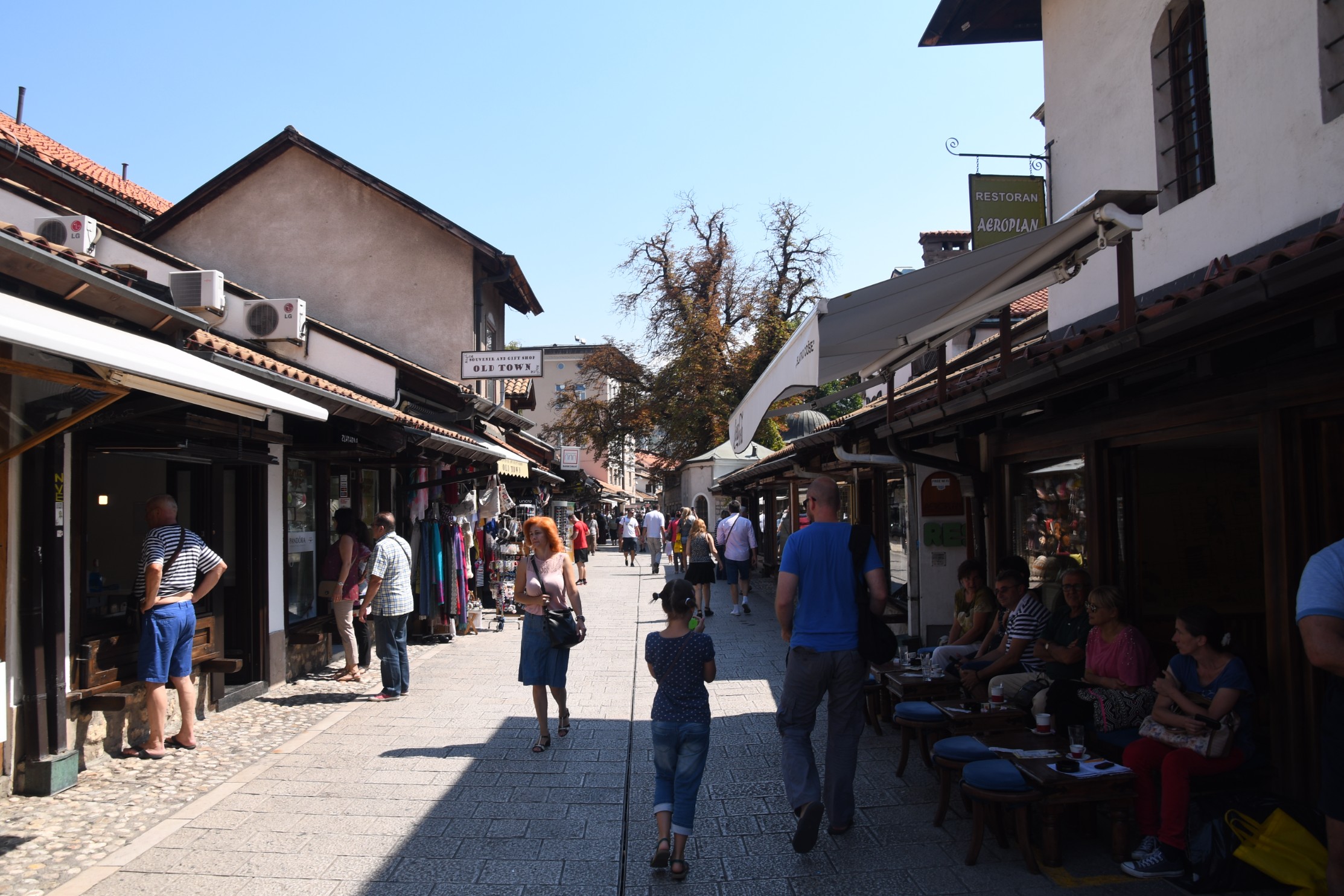 DSC_1493.jpg