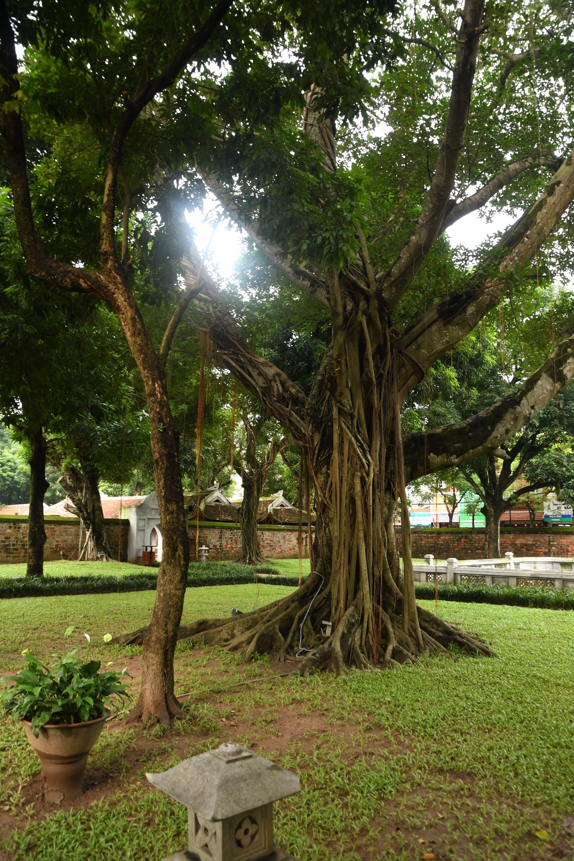 DSC_2335.jpg
