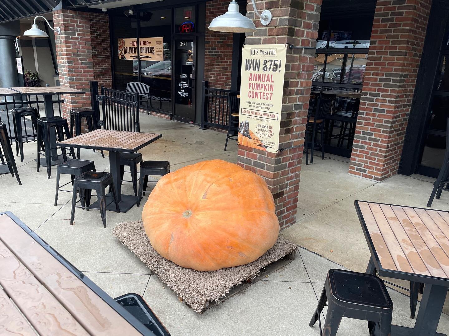 Our Annual Pumpkin is BACK 👻 stop in and guess the weight for a chance to win a $75 gift card 🎃